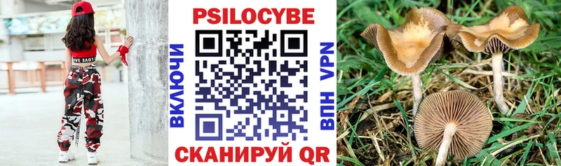 Галлюциногенные грибы ЛСД  дарнет шоп  Камышин 